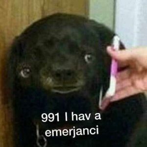 Meet your Posher, Cali